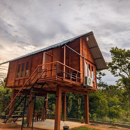 Vila Lion Wood Treehouse Talkote Exteriér fotografie