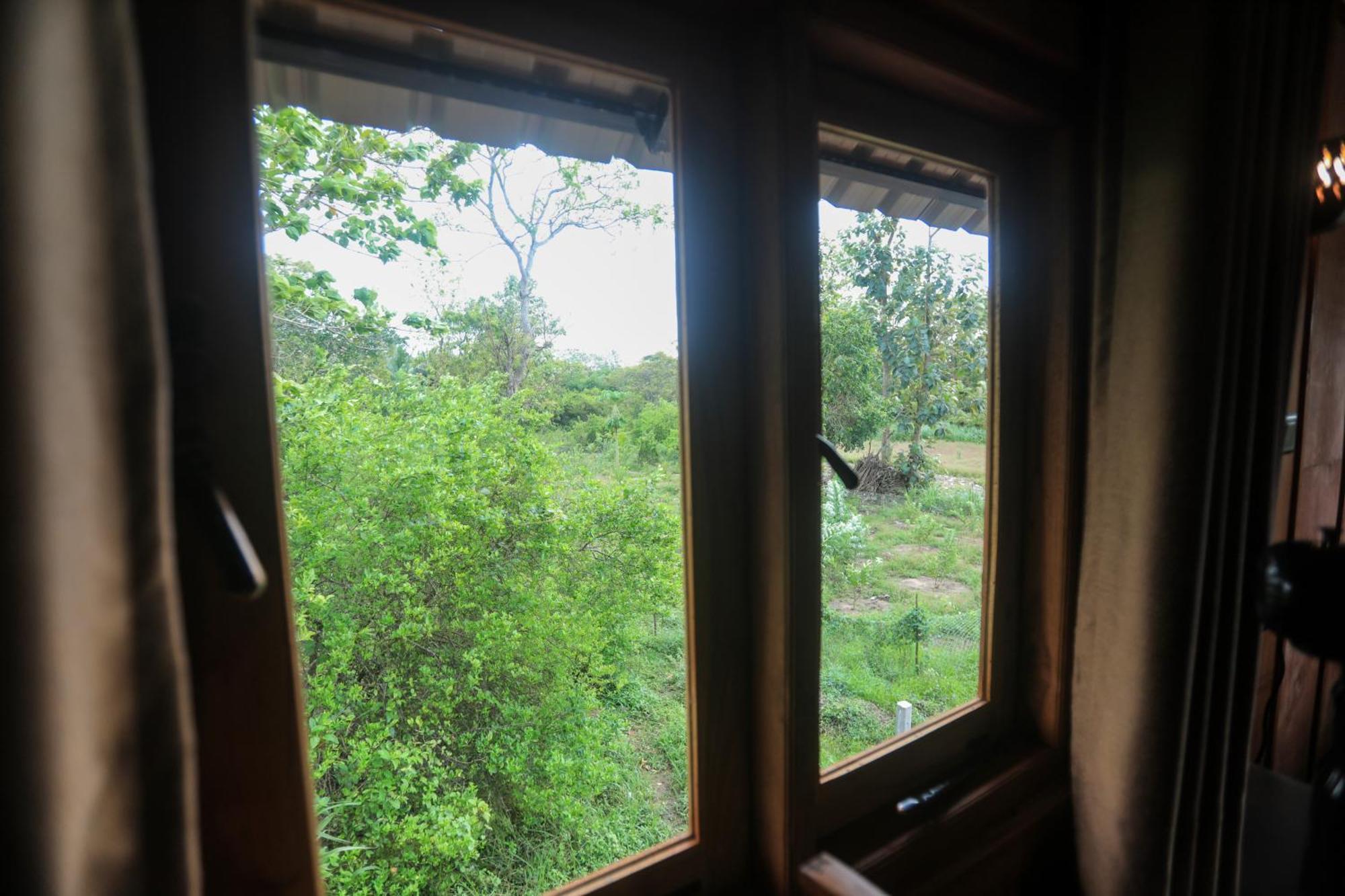 Vila Lion Wood Treehouse Talkote Exteriér fotografie