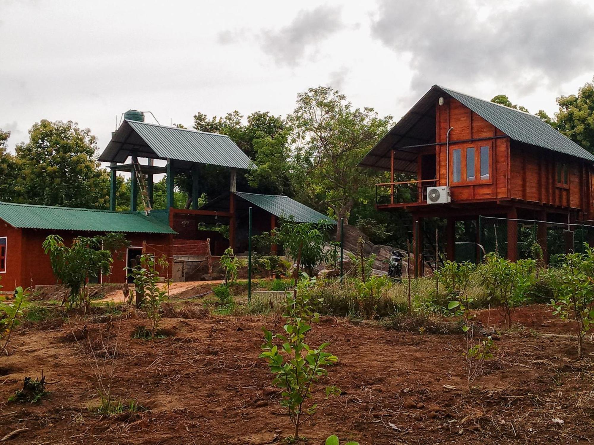 Vila Lion Wood Treehouse Talkote Exteriér fotografie
