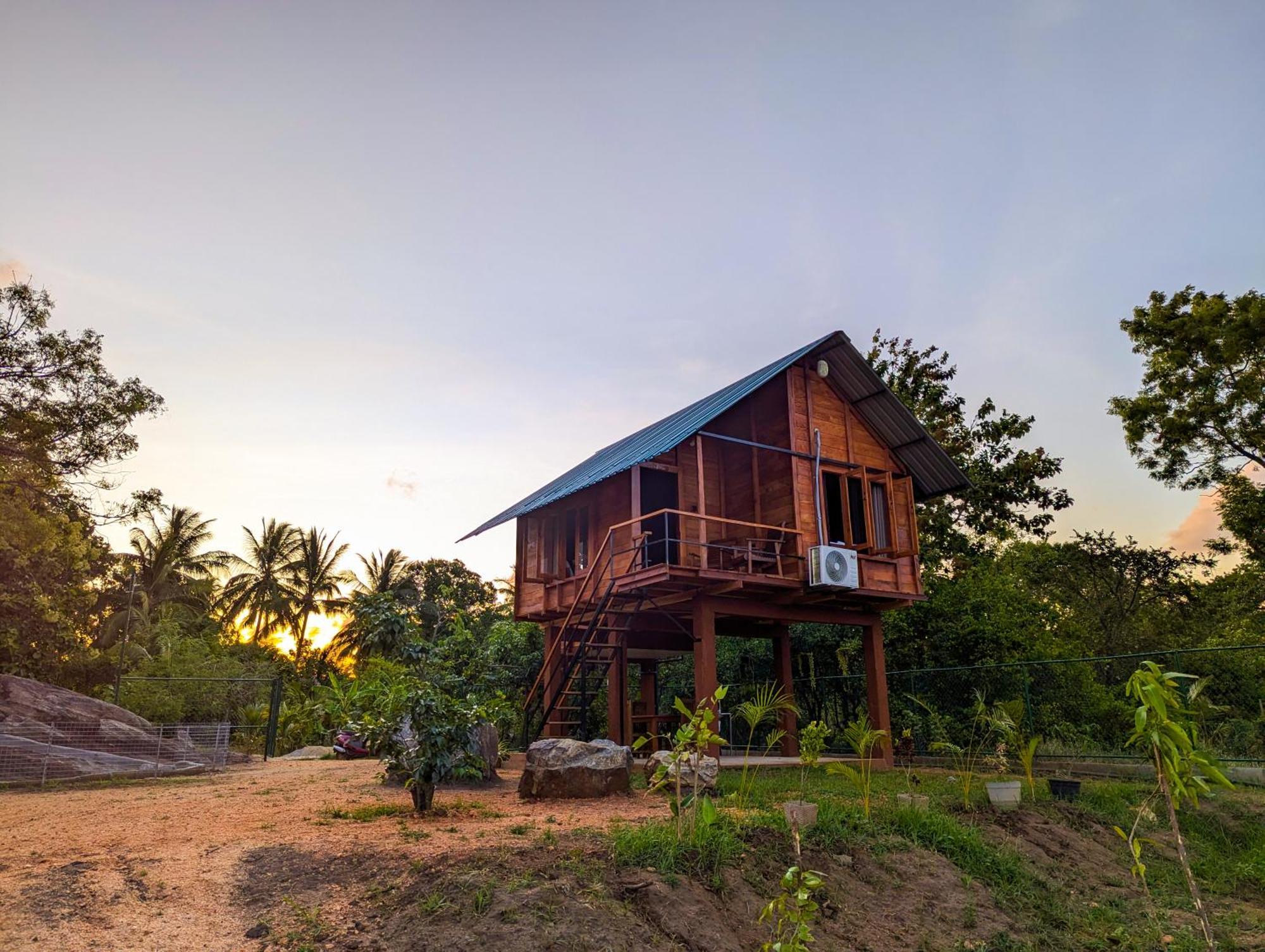 Vila Lion Wood Treehouse Talkote Exteriér fotografie