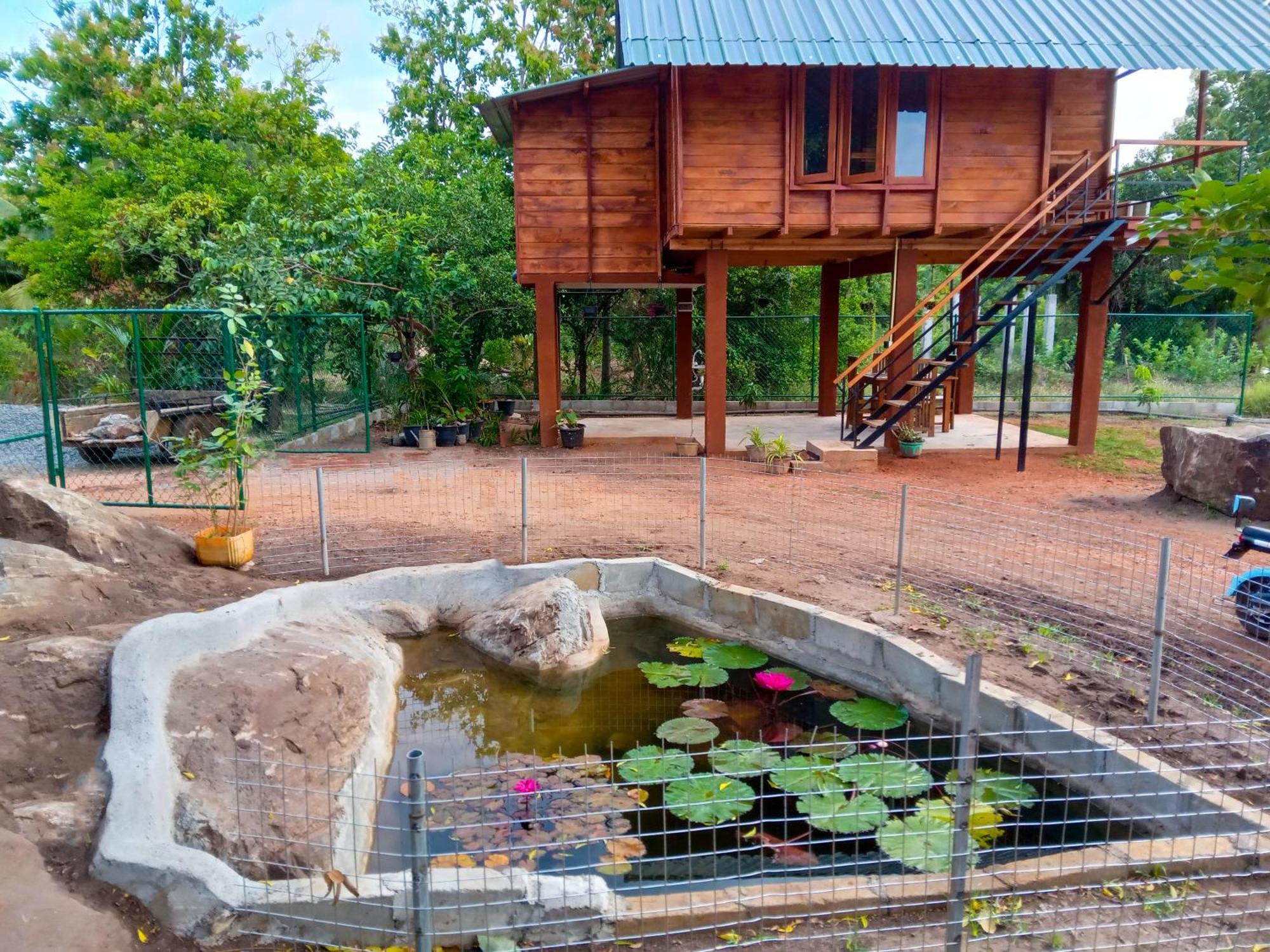 Vila Lion Wood Treehouse Talkote Exteriér fotografie